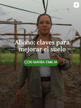 Langellotti Instagram Post